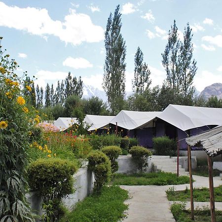 Tiger Camp Nubra Hotell Eksteriør bilde