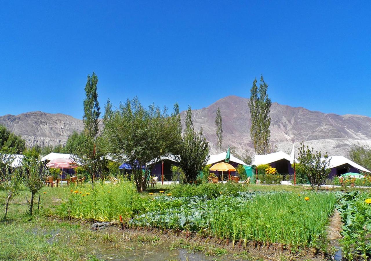Tiger Camp Nubra Hotell Eksteriør bilde