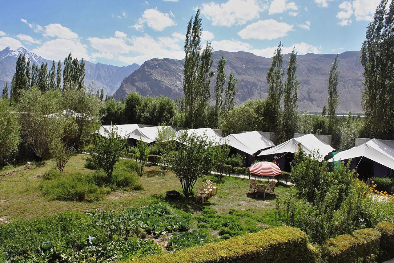 Tiger Camp Nubra Hotell Eksteriør bilde