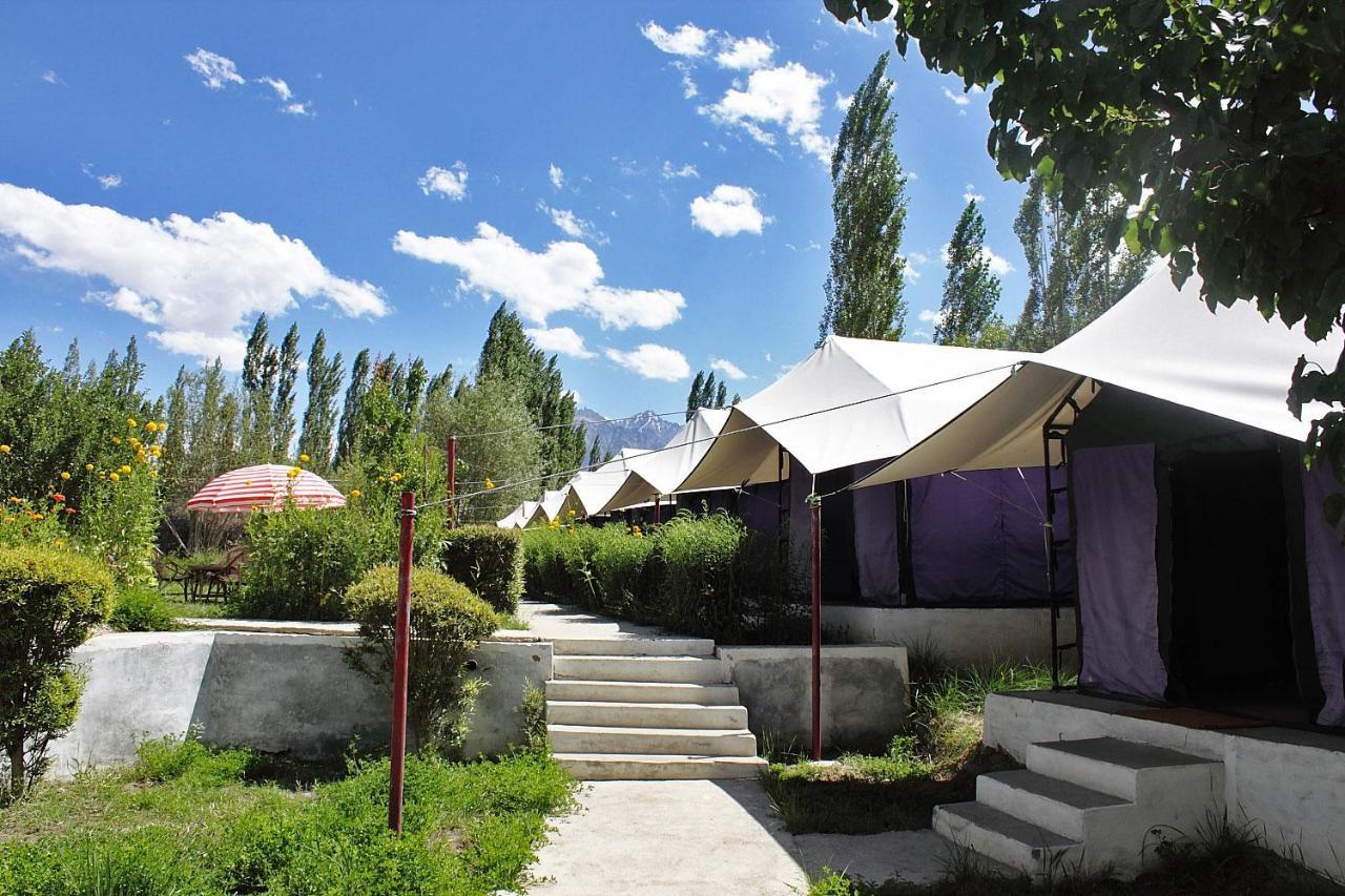 Tiger Camp Nubra Hotell Eksteriør bilde